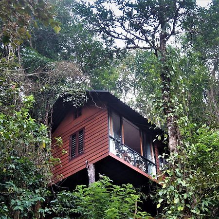 Villa Tree6 Wayanad Vythiri Esterno foto