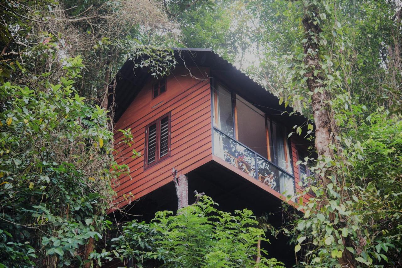 Villa Tree6 Wayanad Vythiri Esterno foto